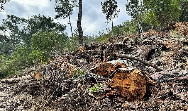 Başkan Topaloğlu: “Doğamızın göz göre göre katledilmesine seyirci kalmayacağız.”
