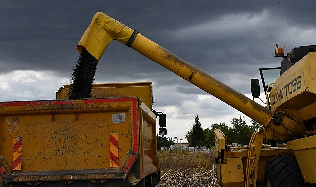 Lüleburgaz Belediyesi’nden ayçiçek hasadı