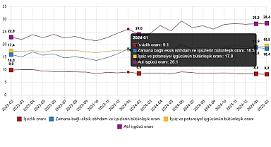İşgücü İstatistikleri, Şubat 2025