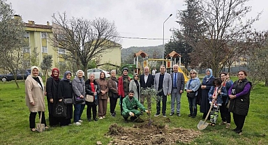 Gölcük’te Orman Haftasında Zeytin Ağaçları Toprakla Buluştu
