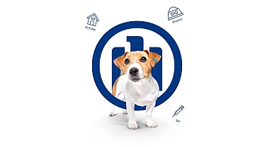 Allianz Türkiye HAYTAP’a desteğini büyütüyor