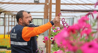 Çansera’nın Yazlık Çiçekleri Çankaya’yı Süsleyecek