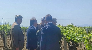 Büyükşehir’den Don Zararına Uğrayan Üreticilere Destek