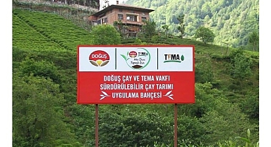 Doğuş Çay ve TEMA Vakfı’ndan sağlıklı topraklar ve sürdürülebilir çay tarımı için ortak adım