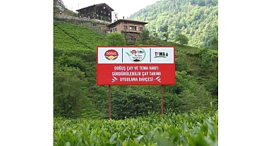 Doğuş Çay ve TEMA Vakfı’ndan sağlıklı topraklar ve sürdürülebilir çay tarımı için ortak adım