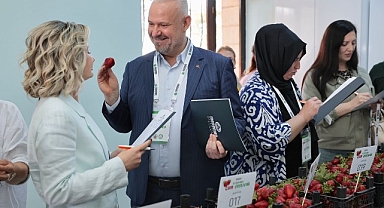 Emiralem Çilek Festivali rekor kırdı: milyonu geçti!