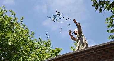Festival’in Renkleri Fotoğraf Karelerinde Hayat Bulacak