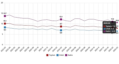 İşgücü İstatistikleri, Mart 2025