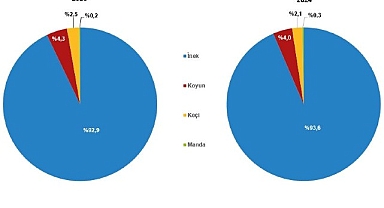 Çiğ Süt Üretim İstatistikleri, 2024