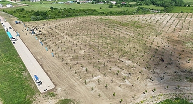 Kocaeli’nde binlerce fidan toprakla buluştu
