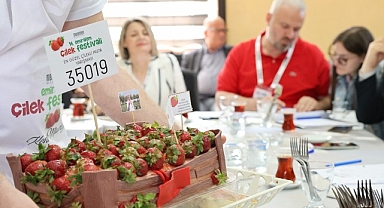 Menemen’de festival coşkusu yaşanacak