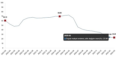 İnşaat Maliyet Endeksi, Mart 2025
