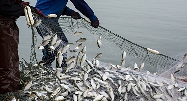 Türkiye’nin su ürünleri ihracatı 5 yılda yüzde 100 arttı