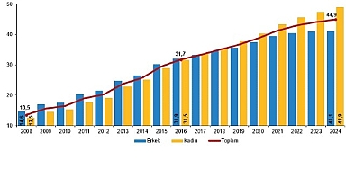 Ulusal Eğitim İstatistikleri, 2024