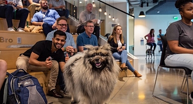 Evcil Hayvanlar İçin Açılan Kapılar, İş Dünyasında Bambaşka Bir Dönüşümü Beraberinde Getiriyor