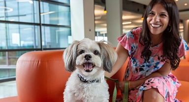 Evcil Hayvanlar İçin Açılan Kapılar, İş Dünyasında Bambaşka Bir Dönüşümü Beraberinde Getiriyor