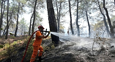 Hasat Mevsiminde Orman Yangını Alarmı