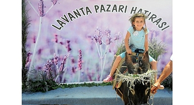 Mis Gibi Şenlik: Seferihisar’da Lavanta Büyüsü Başlıyor