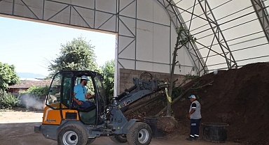 Sökülen ağaçlar geleceğe taşınıyor