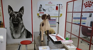 Uludağ Üniversitesi Klinik Beceri Laboratuvarı Açıldı