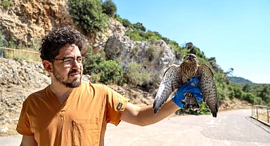 Yetişkinliğe erişen kerkenez yavruları doğal ortamlarına bırakıldı