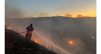 Aliağa Hacıömerli Mahallesi makilik alanda çıkan yangına müdahale sürüyor