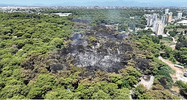 Antalya Büyükşehir Belediyesi İtfaiyesi alevlerle mücadelesini sürdürüyor