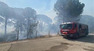 Bergama’da orman yangınına müdahale ediliyor