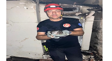 Büyükşehir yangın bölgelerindeki tüm canlıların yardımına koştu
