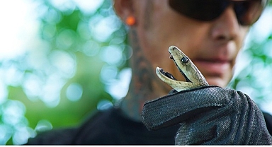 ‘Şehirdeki Yılanlar: Zehrin Ötesi’, 11 Temmuz Cuma 20.00’de National Geographic WILD Ekranlarında!
