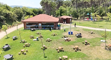 Miço Kadınlar Plajı’nda yok yok