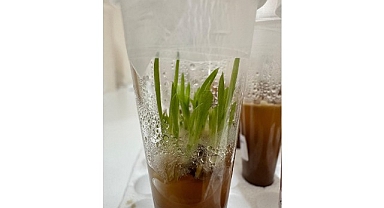 Nejdet Bozkurt, “Proje ile endemik Likya salebini koruyarak, neslinin devam etmesini sağlayacağız”