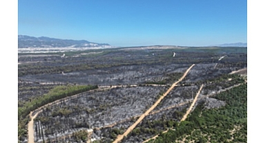 Tugay: Yangın bölgeleri için elimizden geleni yapacağız ama dayanışmaya ihtiyacımız var