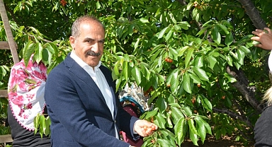 Uçak; “Don kirazı, kiraz ihracatı vurdu”