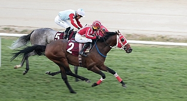 Konak Belediye Başkanlığı Koşusu’nu Gutshot kazandı